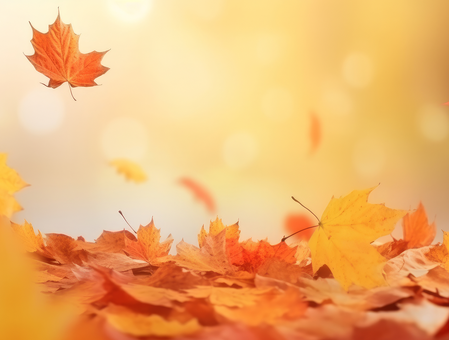 FREE Fitness Challenge for women from Asskicker Activewear in Barrie, Ontario Canada - November 2024