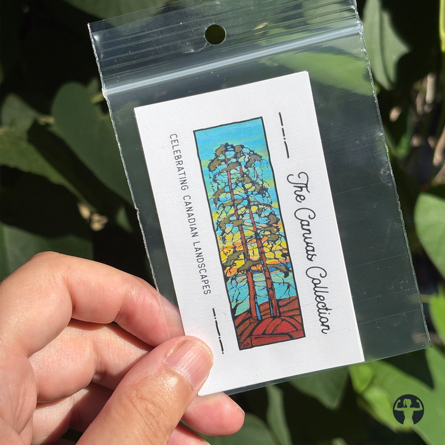 The Canvas Collection Fine Art Stickers – Three Pack