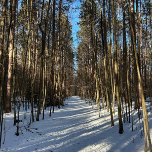 Winter Retreat: “Nourish, Move, Refresh & Connect”