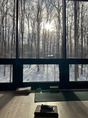 Winter Retreat: “Nourish, Move, Refresh & Connect”